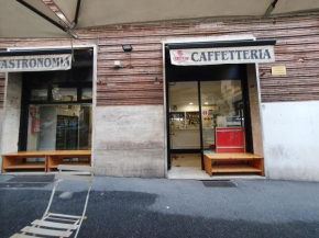 La mandragola